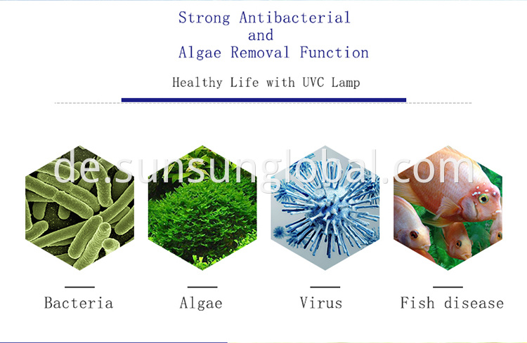 Hochwertiger und effizienter Aquarium-UV-Sterilisator